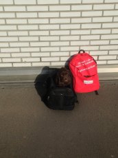 Vinga, net op Schiphol